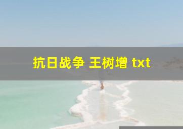 抗日战争 王树增 txt